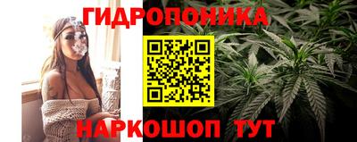 бошки Гусев