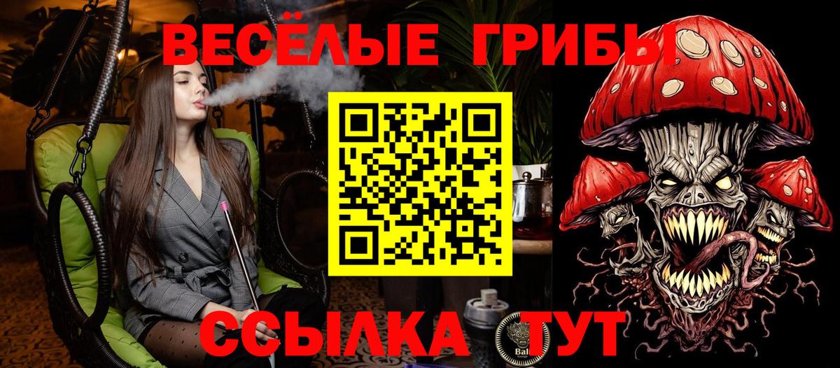 Набережные Челны  Псилоцибиновые грибы Psilocybine cubensis  Галлюциногенные грибы мицелий  Вход с VPN 